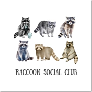 Funny Raccoon Social Club Posters and Art